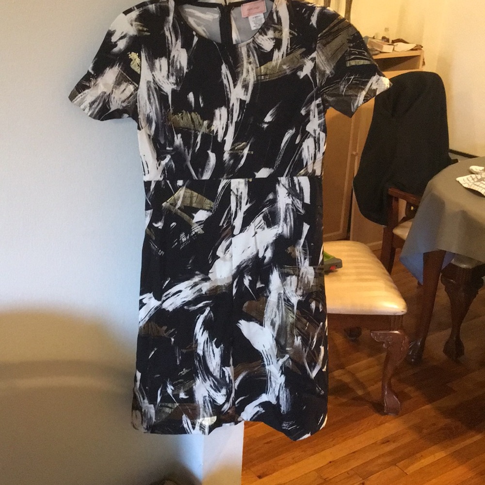 X Small Dress